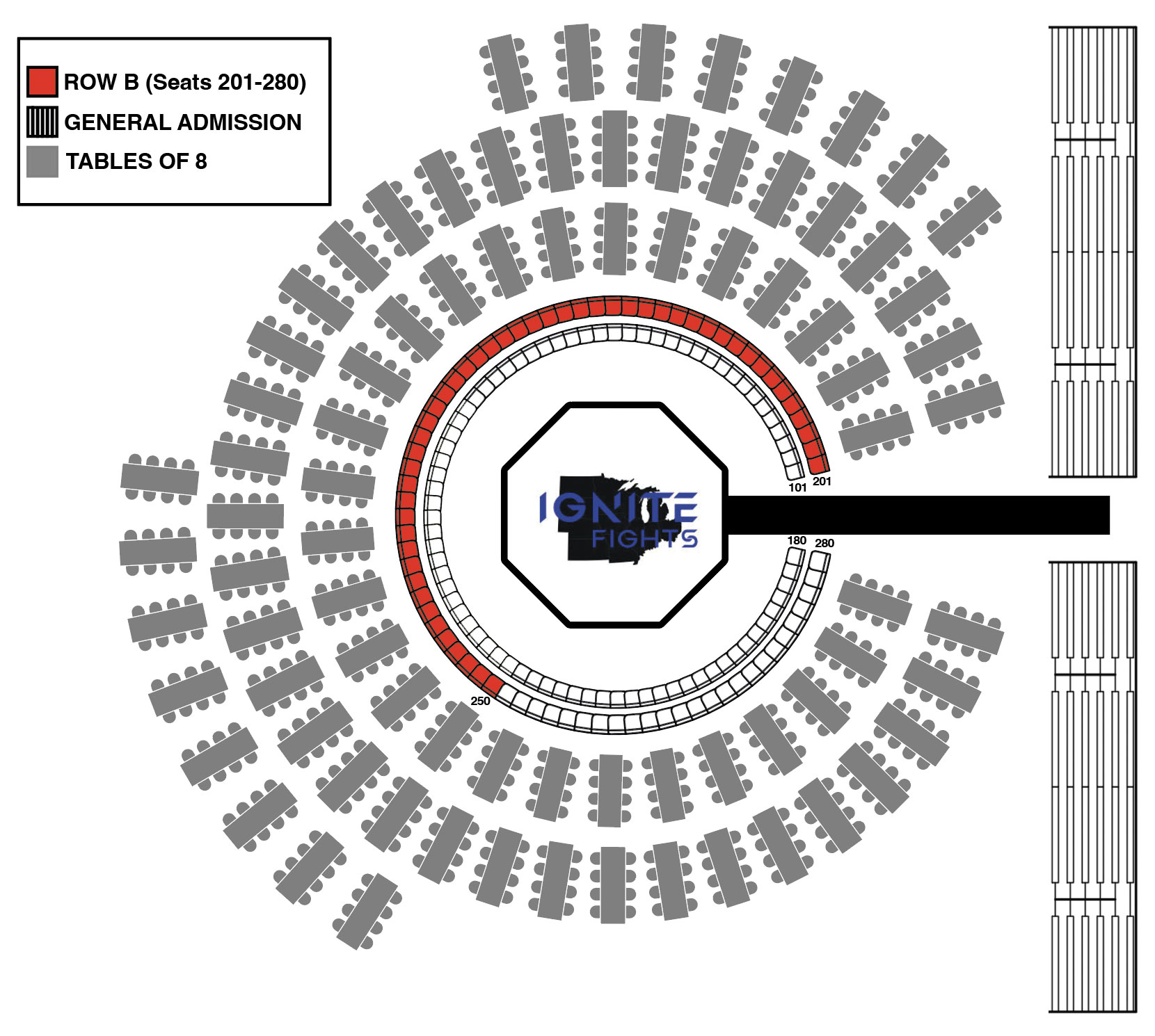 Fight Card